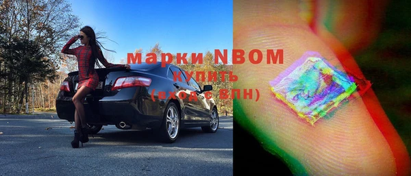 ГАЛЛЮЦИНОГЕННЫЕ ГРИБЫ Бородино