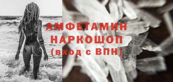 ГАЛЛЮЦИНОГЕННЫЕ ГРИБЫ Бородино